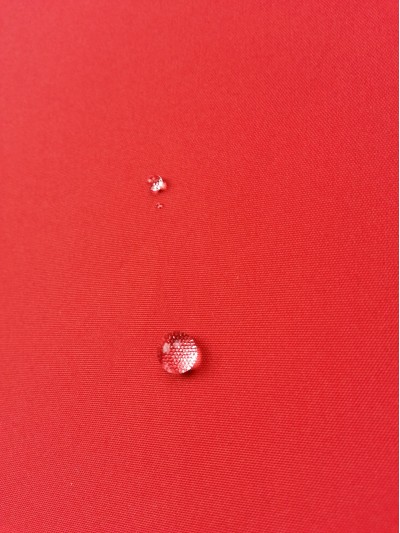 JS ZOYG 消光春亞紡 後面照